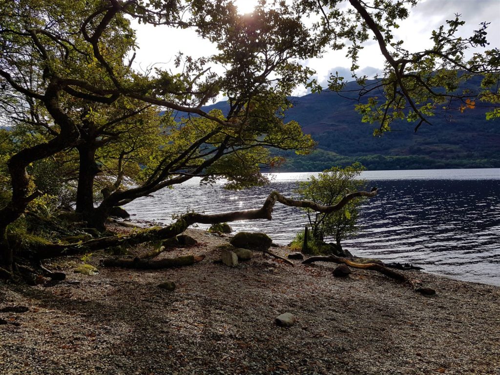 Sonnenglitzer am Loch Lomond