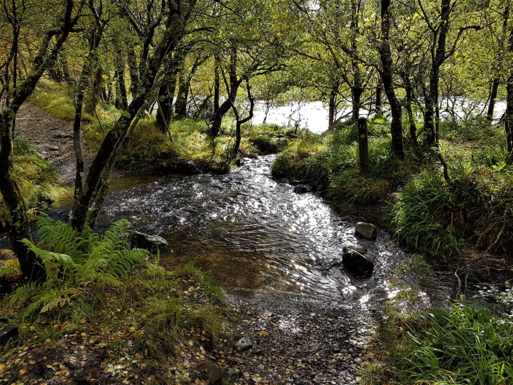 Der Fluss ist der Weg ist der Fluss.