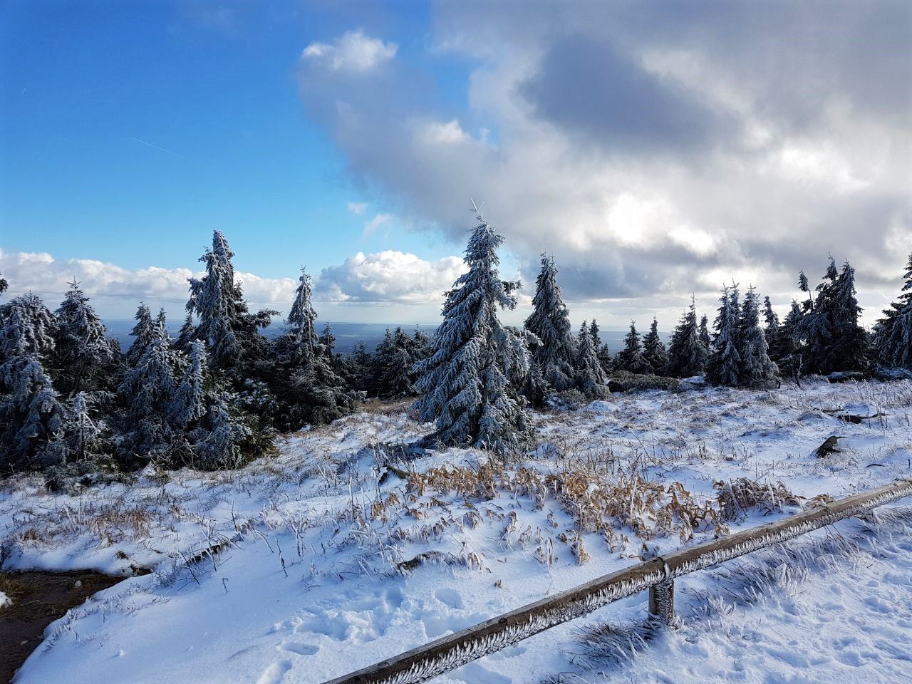 Winterwunderland auf dem Brocken.