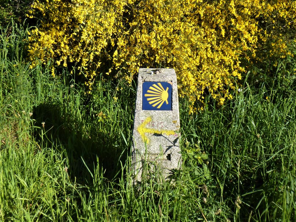 Camino de Santiago