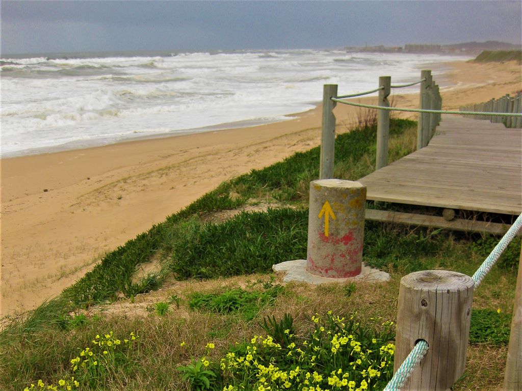 Camino am Meer