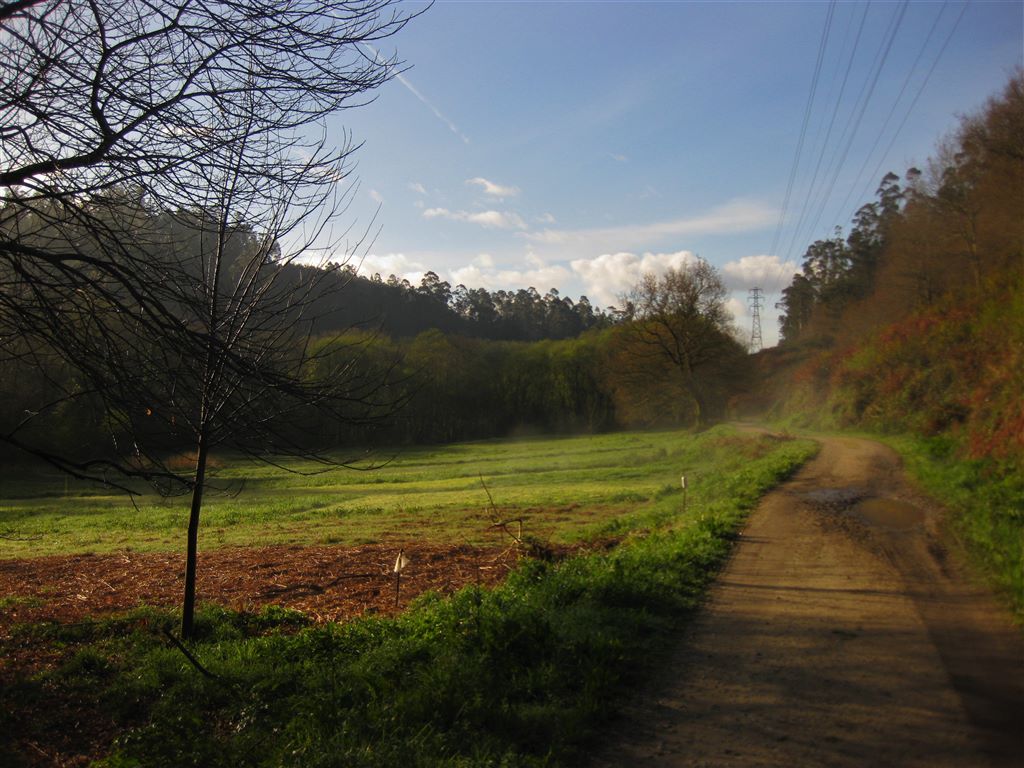 Morgenstimmung auf dem Camino