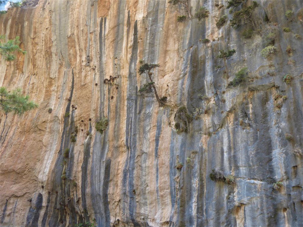 Die Felswände der Samaria-Schlucht