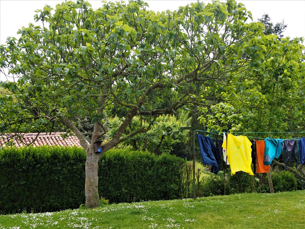 Wäschegarten - Packliste
