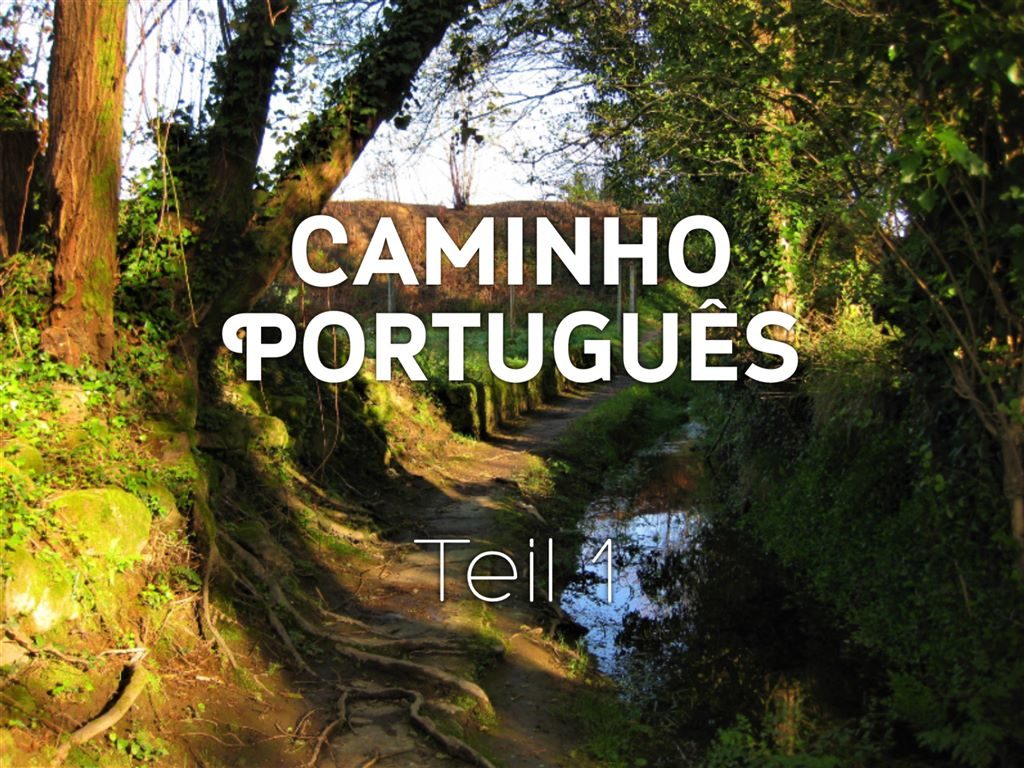 Camino Portugues