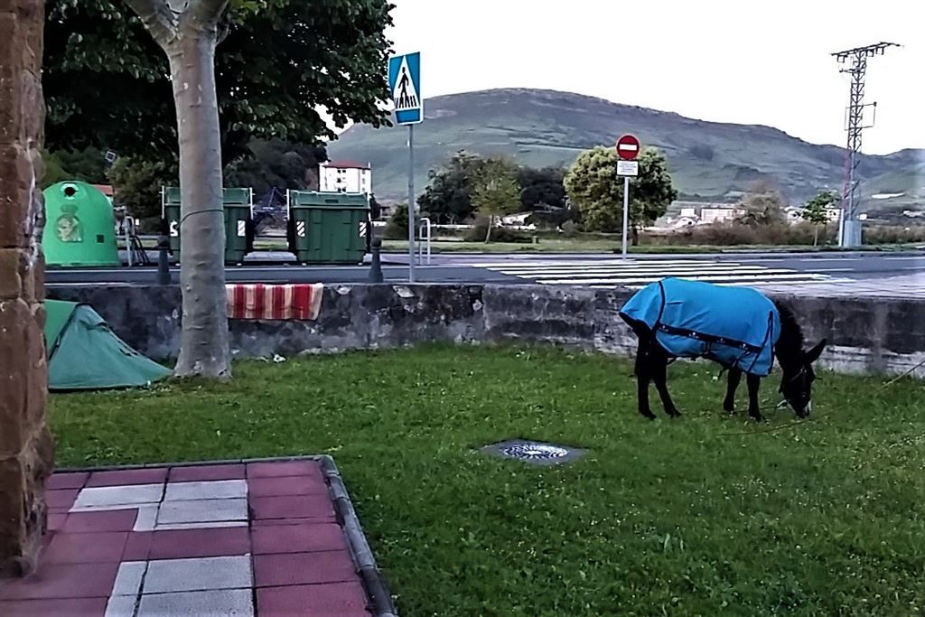 Der Esel von Pobena auf dem Camino del Norte