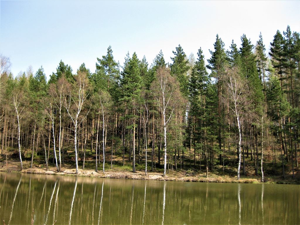 Mischwald in Thüringen. Wandertouren in Deutschland und Europa