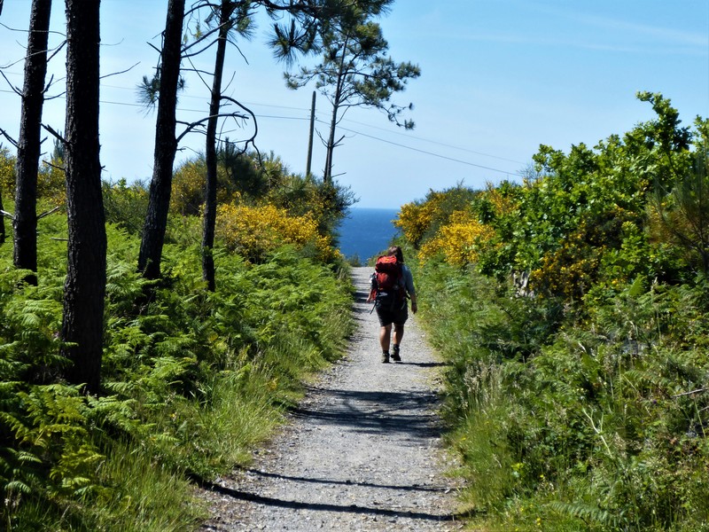 Dem Meer entgegen - mehrwöchige Wandertouren in Deutschland und Europa