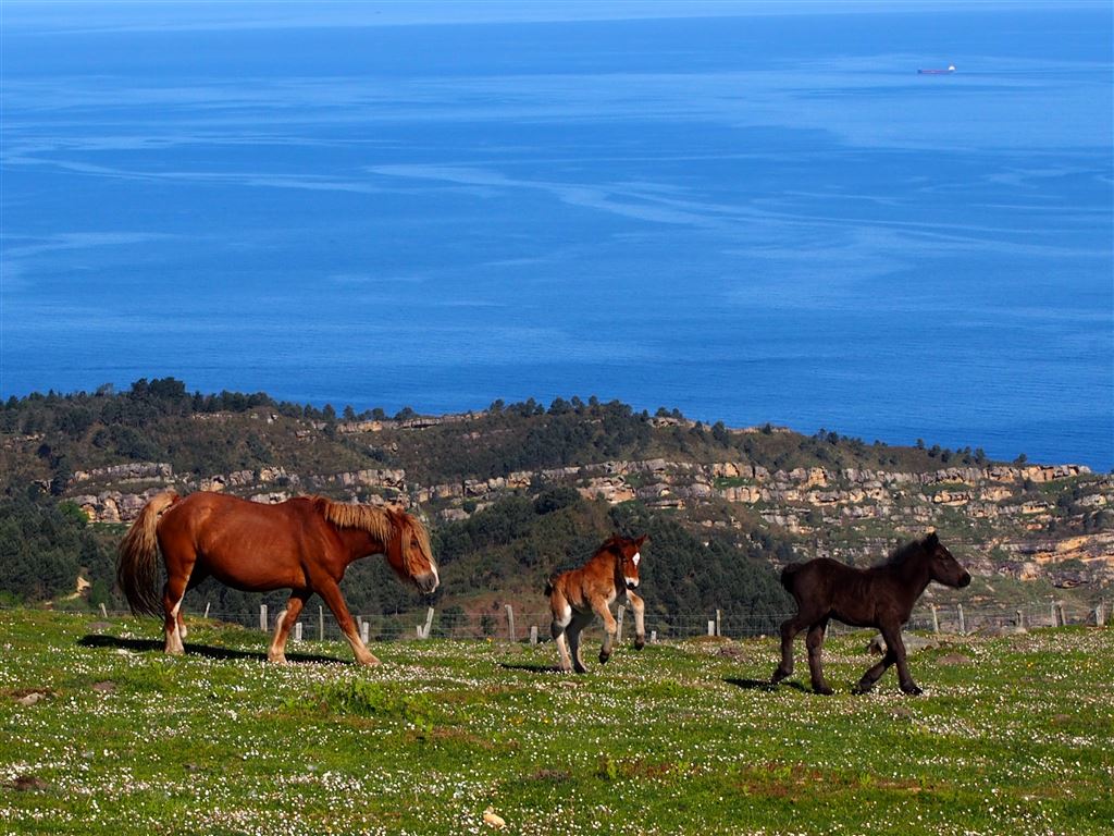 Titelnbild Camino del Norte