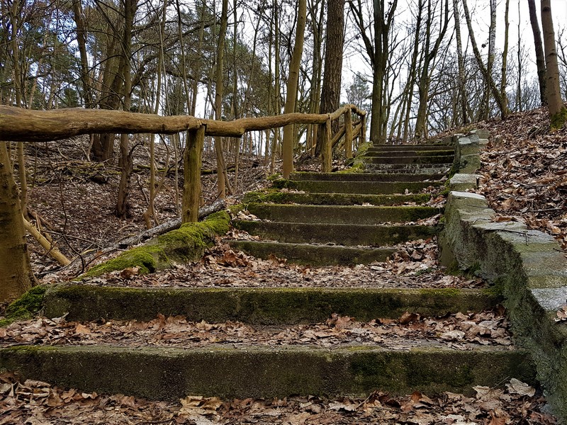Die Stufen zum Grunewaldturm - Havelhöhenweg
