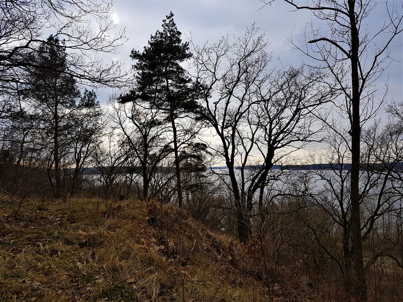Blick durch die Bäume vom Havelhöhenweg