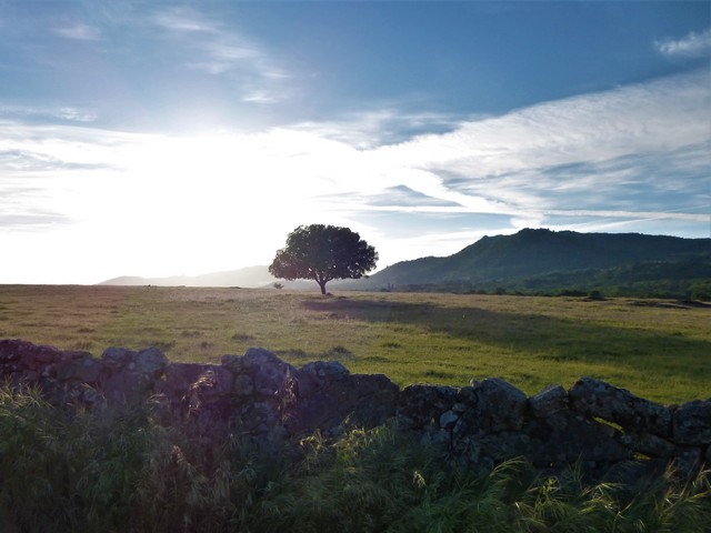 Sonnenschein - Via de la Plata