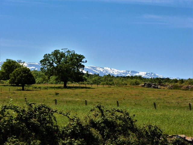 Endlich Berge - Via de la Plata