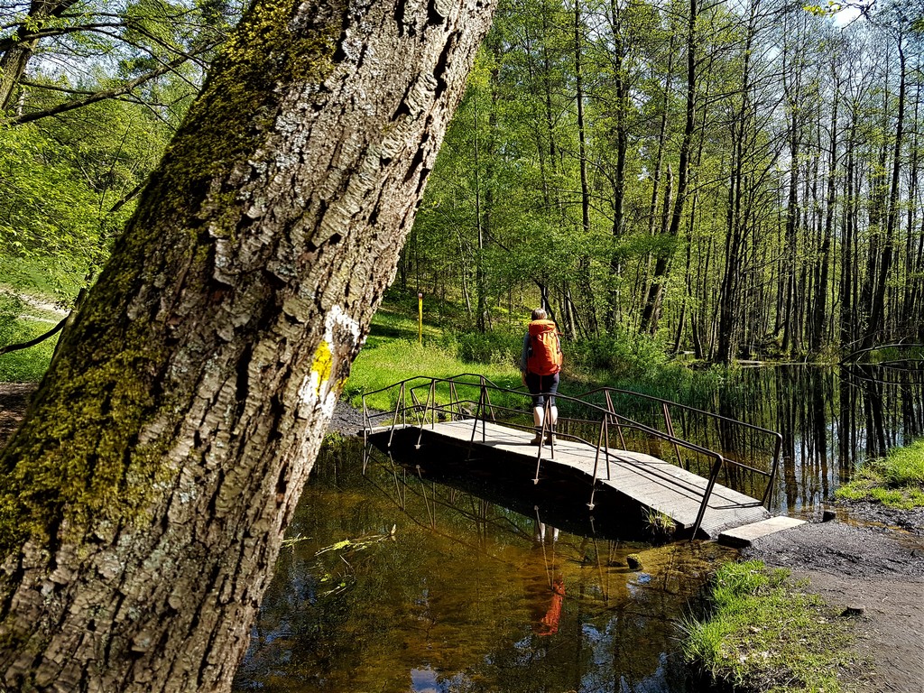 Kleine Brücke im Briesetal