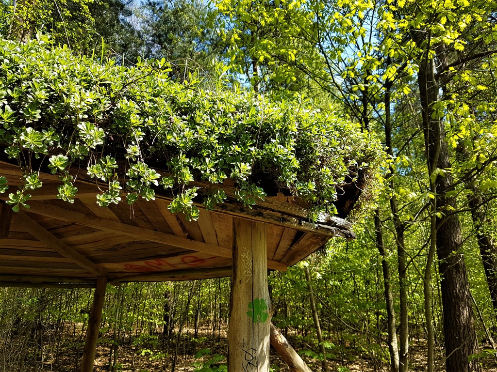 Markierung auf dem Naturlehrpfad - Briesetal