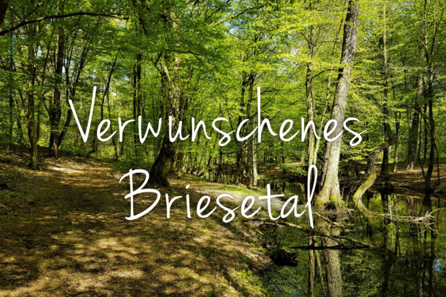 Briesetal Titel