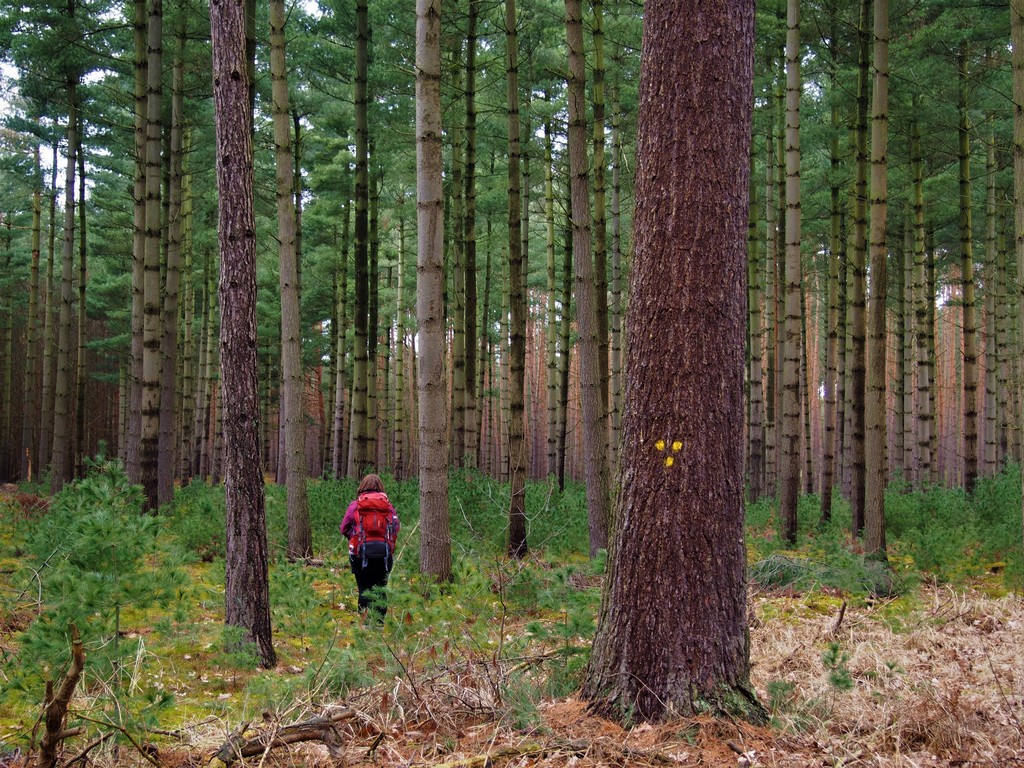 Das Symbol des Wilsnacker Pilgerwegs. Drei gelbe Punkte. - - Wilsnacker Pilgerweg