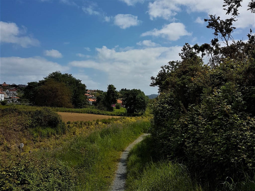 Auf dem Weg nach Neda/Xubia - Camino Inglés