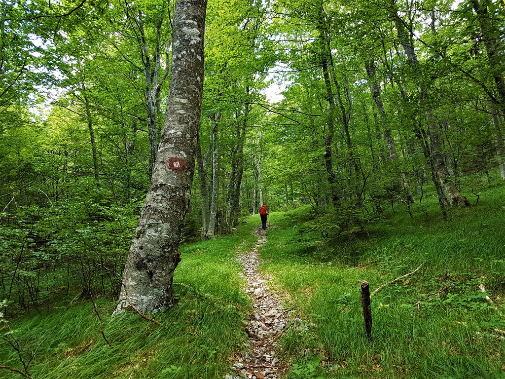 Von Oltari nach Zavizan - Premužić Trail