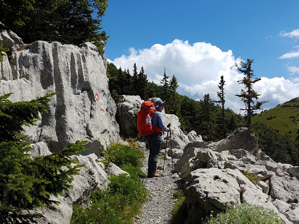 Kurz vor der Berghütte Zavizan - Premužić Trail