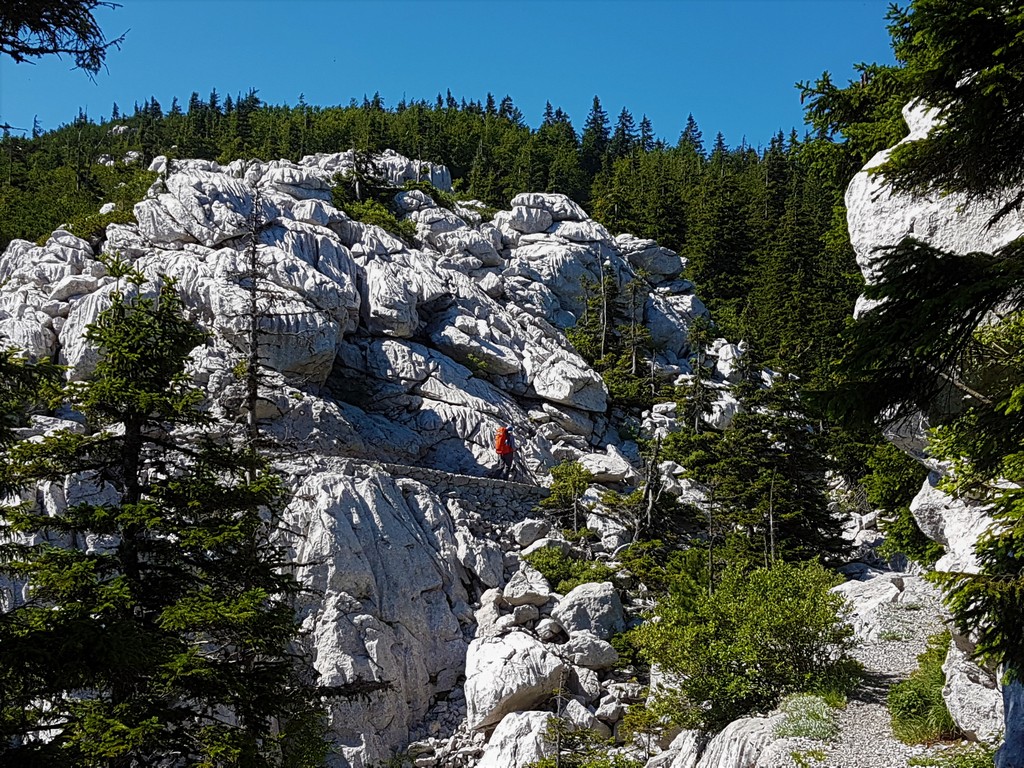 Such den kleinen Roten - Premužić Trail