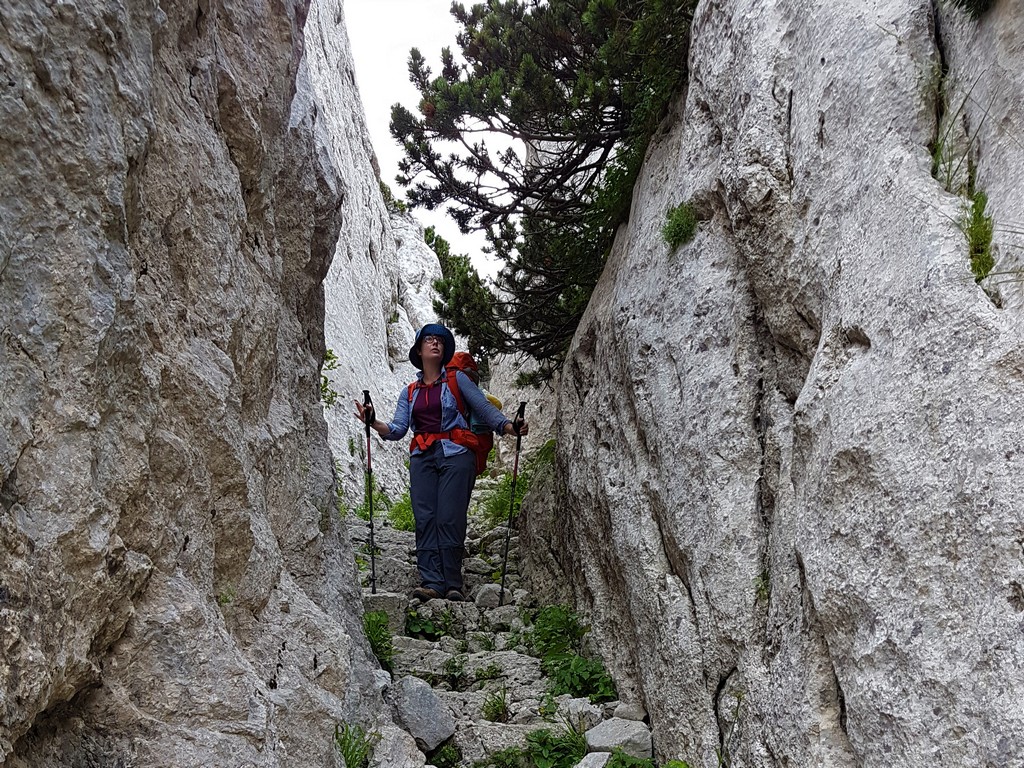 Ist da ein Bär? - Premužić Trail