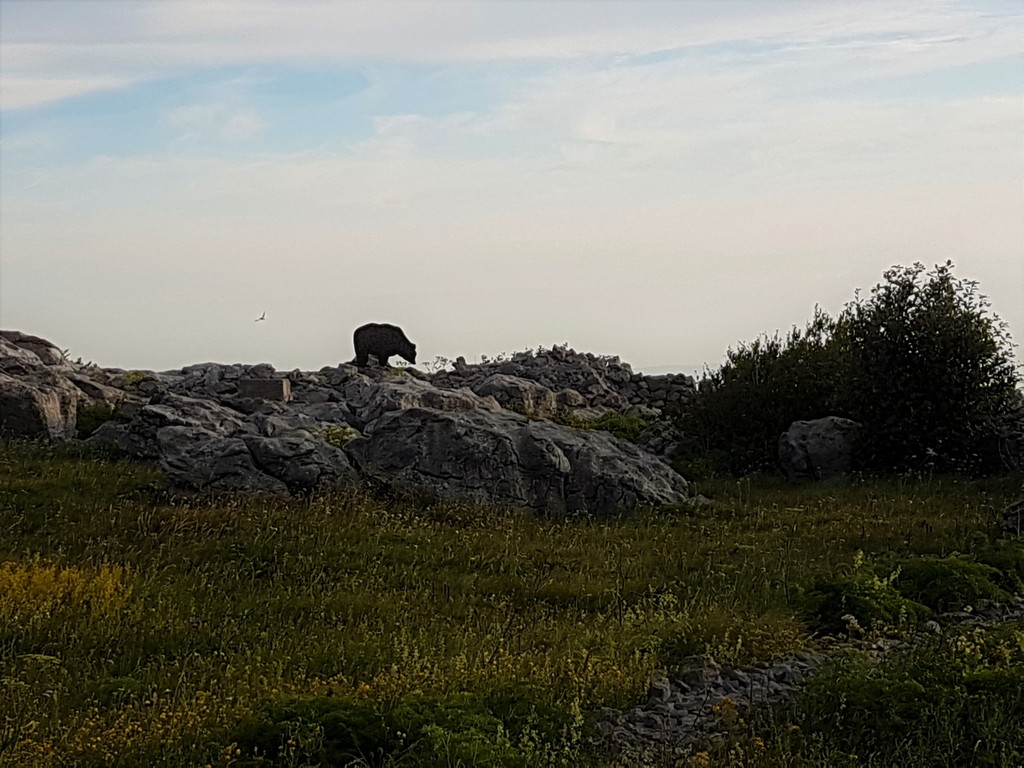 Ist der echt? - Premužić Trail