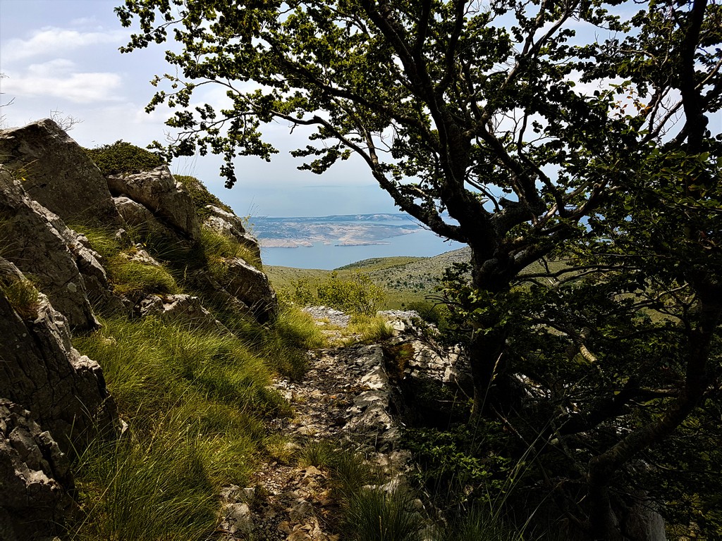 Immer wieder Blick aufs Meer - Premužić Trail