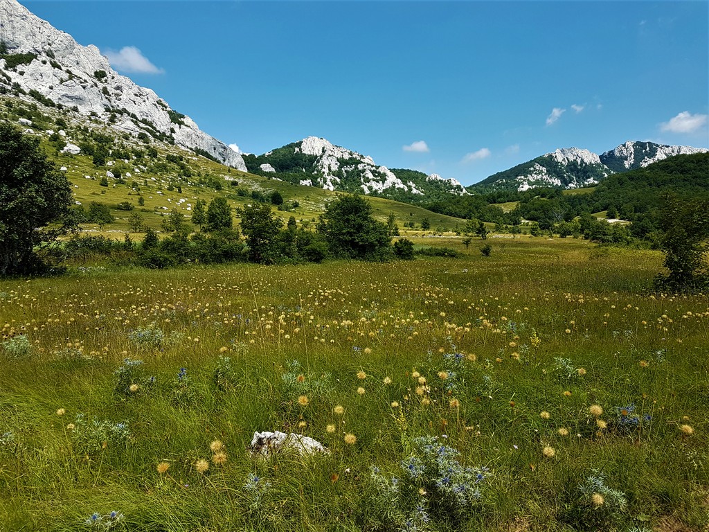 Ein blühendes Tal - Premužić Trail