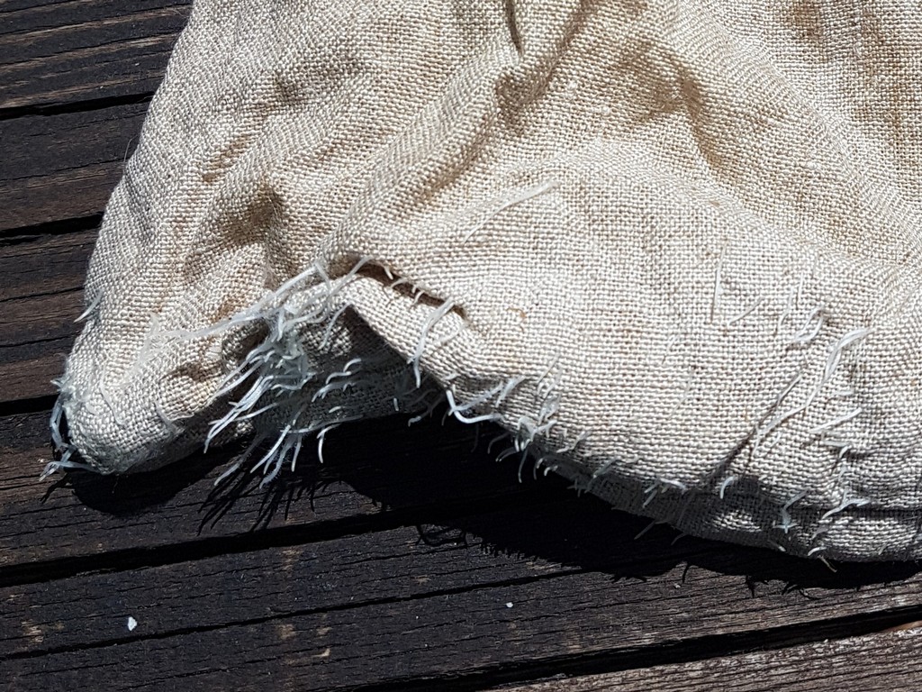 Die kleinen weißen Wurzeln sind kein Schimmel - Sprossen beim Trekking 