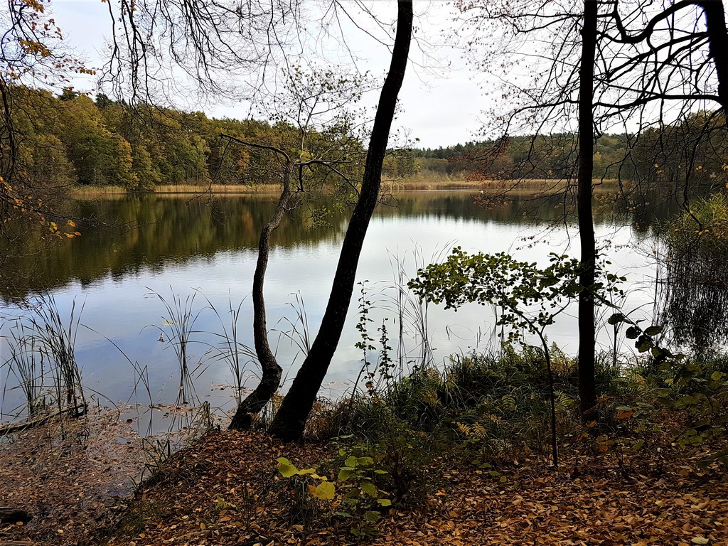 Am Großen Däbersee - Märkische Schweiz