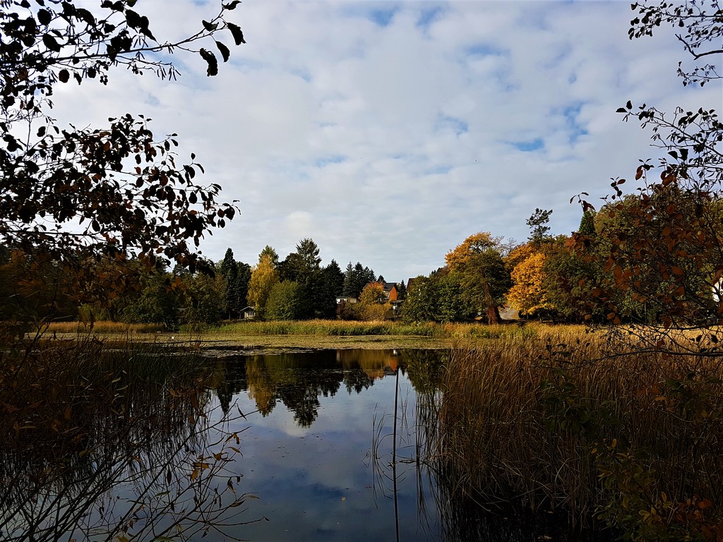 Blick auf Waldsieversdorf