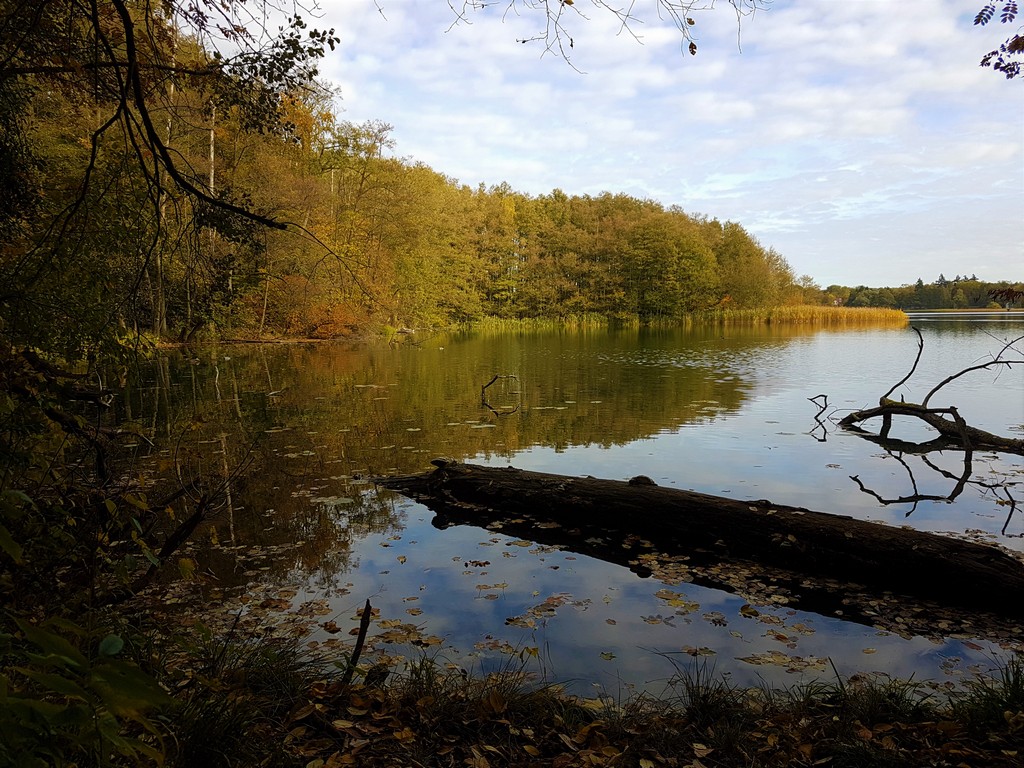 Schermützelsee
