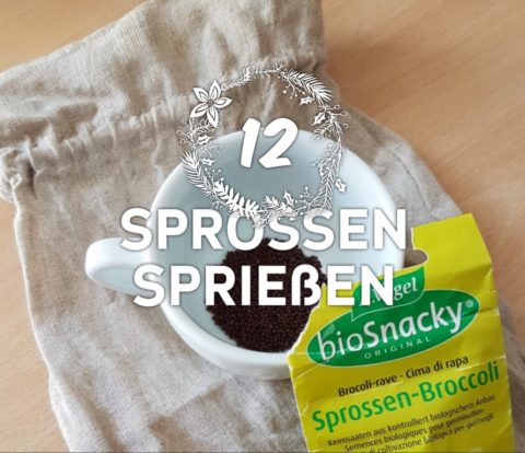 Sprossen beim Wandern - Titel