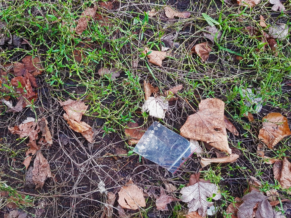Plogging