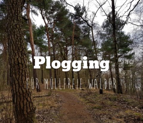 Plogging - Titel