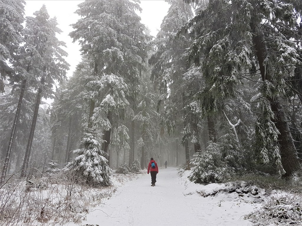 Nebelwald - Winterwanderung im Fichtelgebirge