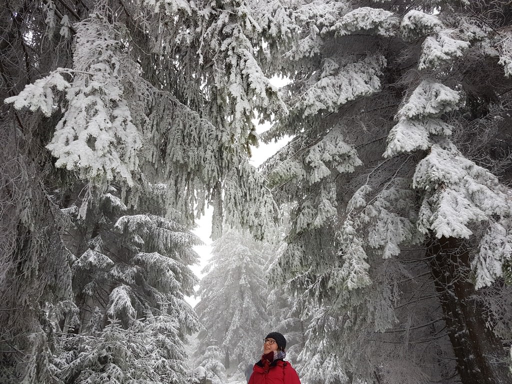 Winterwunderland am Ochsenkopf