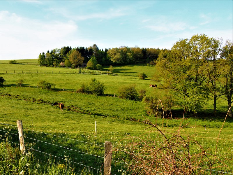 Ausblick 2 - Seelenorte Sauerland