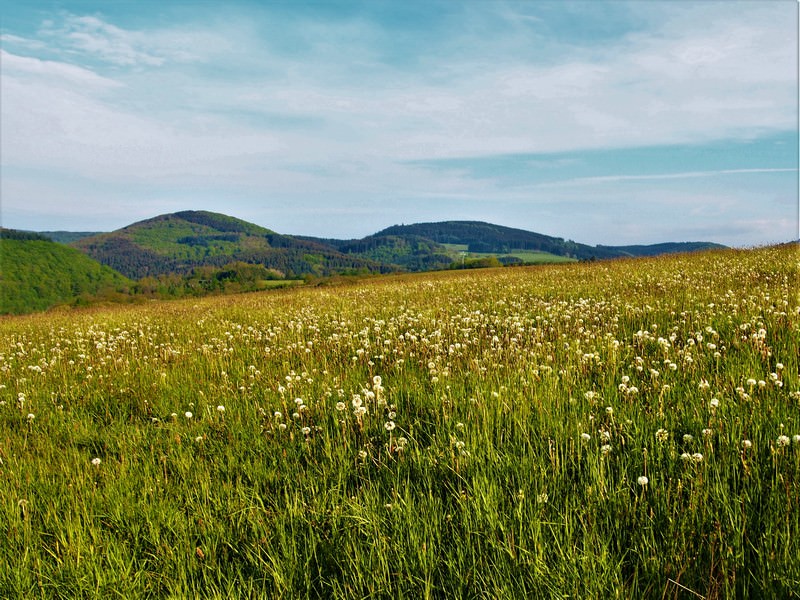 Ausblick 3 - Seelenorte Sauerland