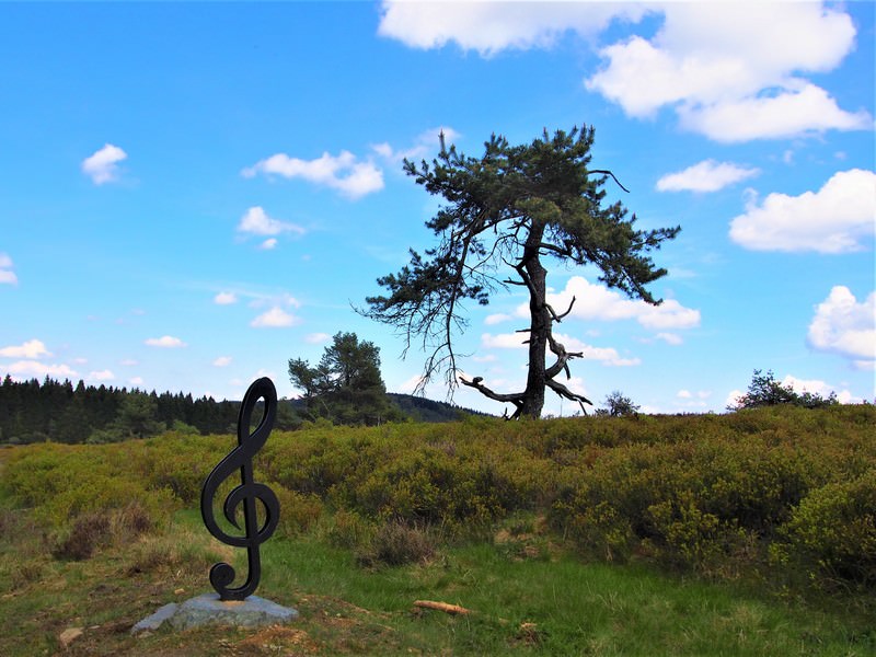 Niedersfelder Hochheide 6 - Seelenorte Sauerland