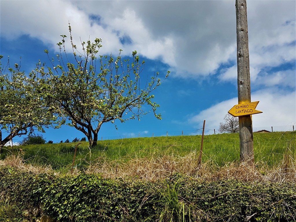 Wegweiser auf dem Camino Primitivo