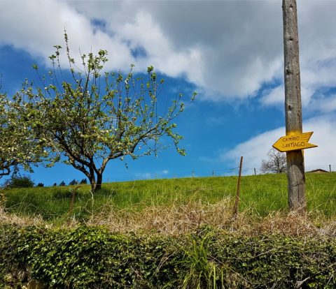 Wegweiser auf dem Camino Primitivo