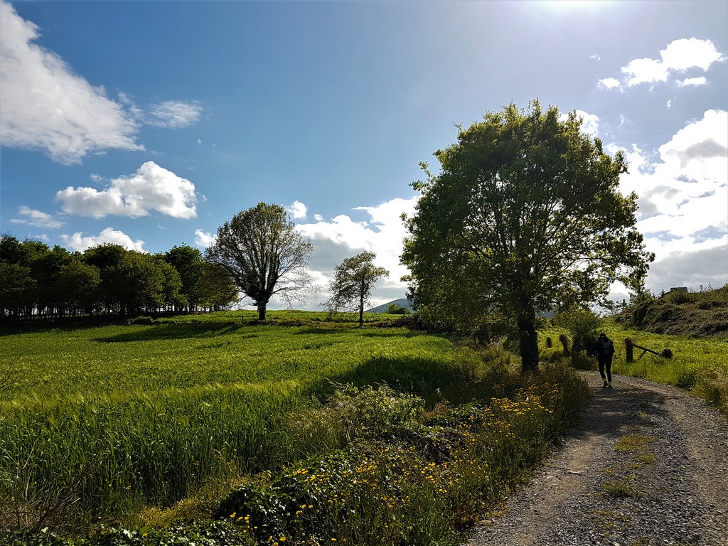 Idyllischer Weg auf dem Camino Primitivo