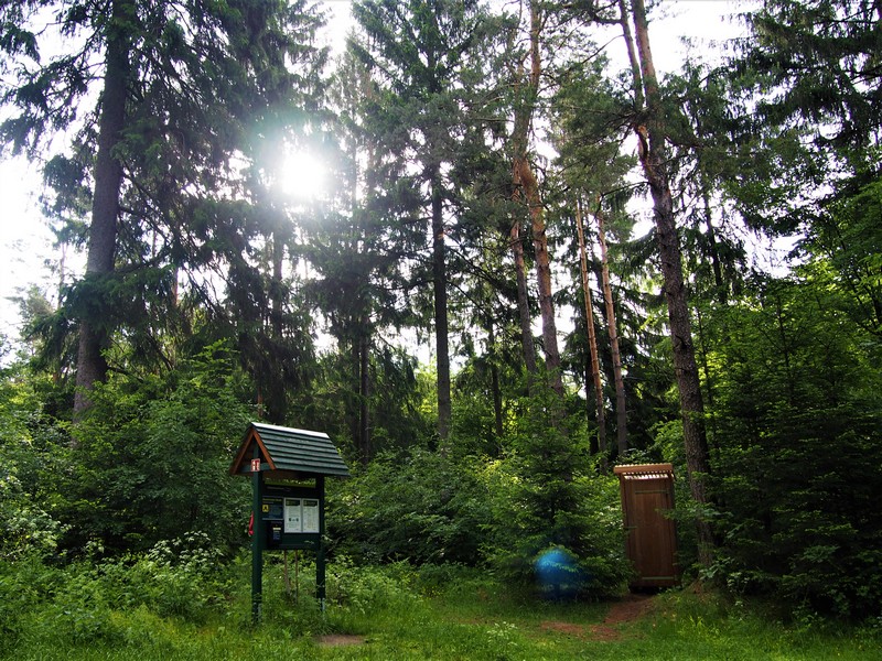 Zschirnsteinbiwak - Forststeig