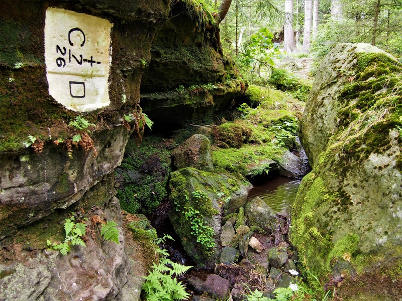 Kühle Bäche auf dem Forststeig