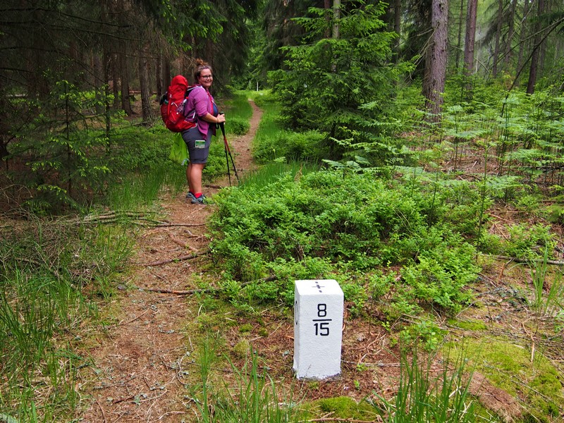 Auf dem Forststeig