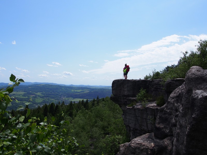 Auf dem Schneeberg - Forststeig
