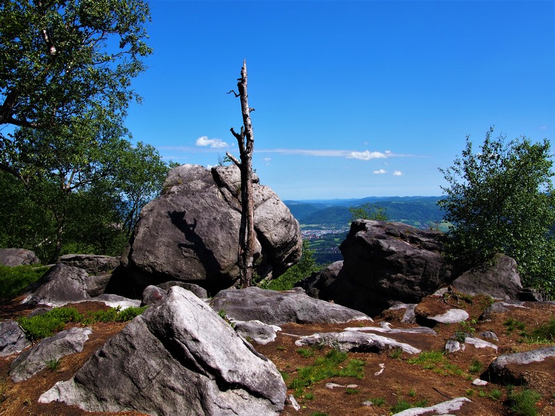 Naturspielplatz Schneeberg