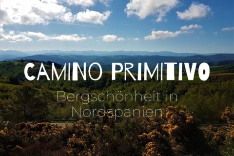 Titel Camino Primitivo